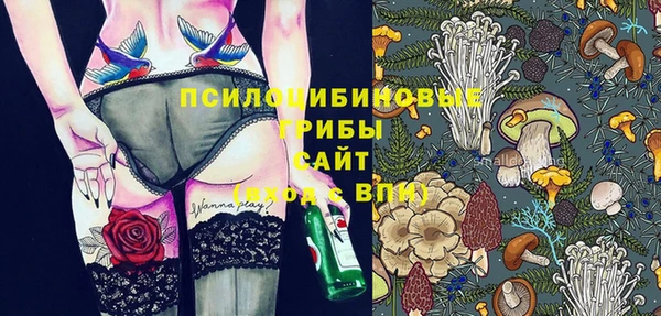 мяу мяу мука Беломорск