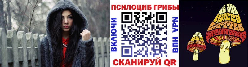 Псилоцибиновые грибы GOLDEN TEACHER Купить Отрадный