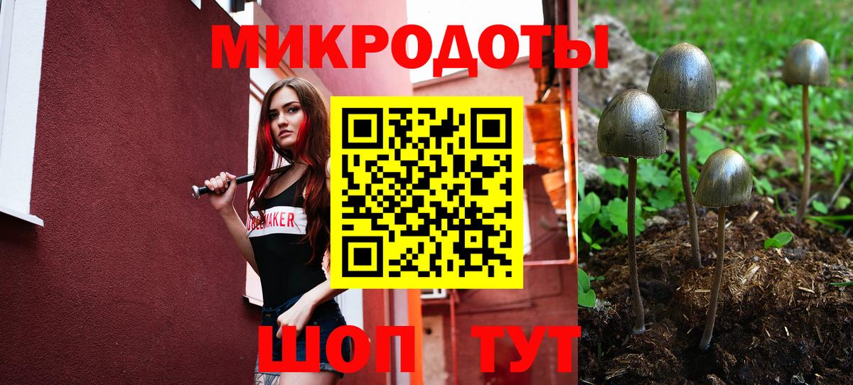 Отрадный  Галлюциногенные грибы ЛСД  Псилоцибиновые грибы мухоморы  Вход с VPN 